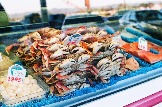 pile of edible crabs